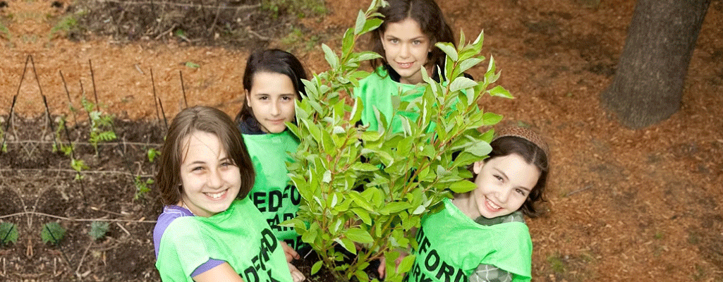 Toyota Evergreen Learning Grounds